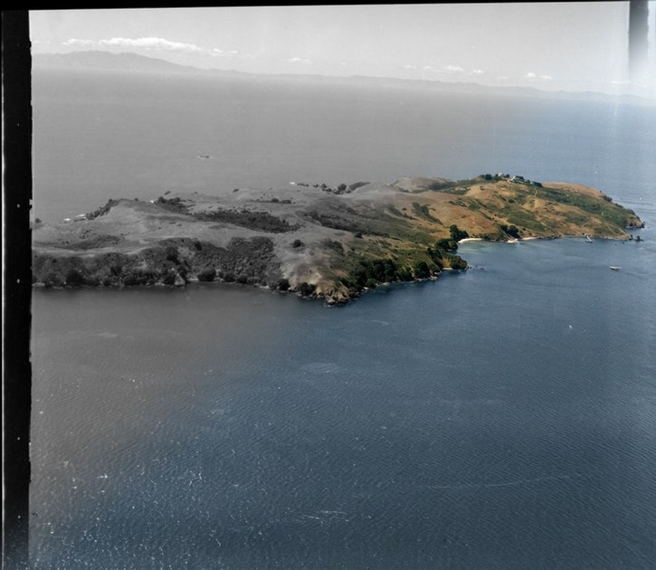 Tiritiri Matangi Island, Hauraki Gulf
