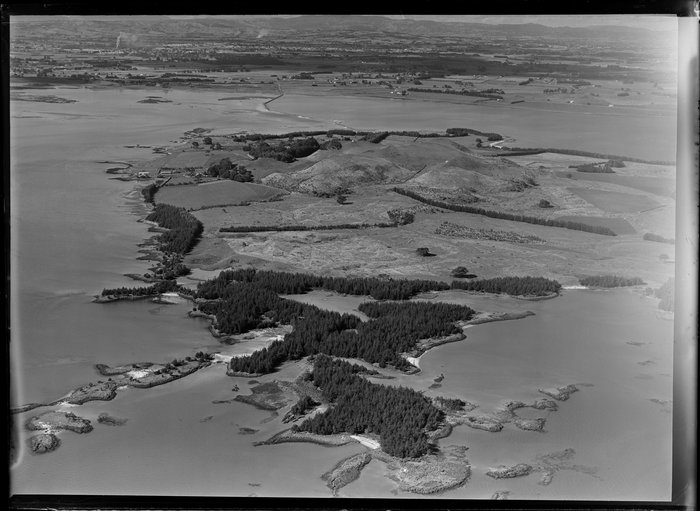 Original photograph: Puketutu Island, Manukau Harbour, Auckland Region