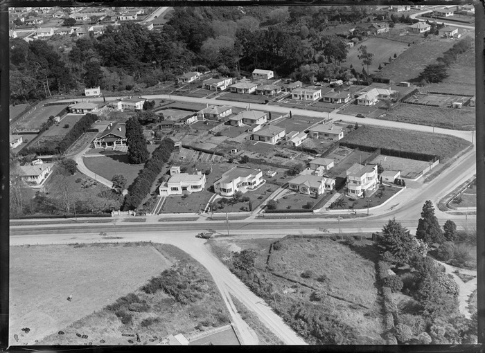 Original photograph: Hamilton, Waikato Region