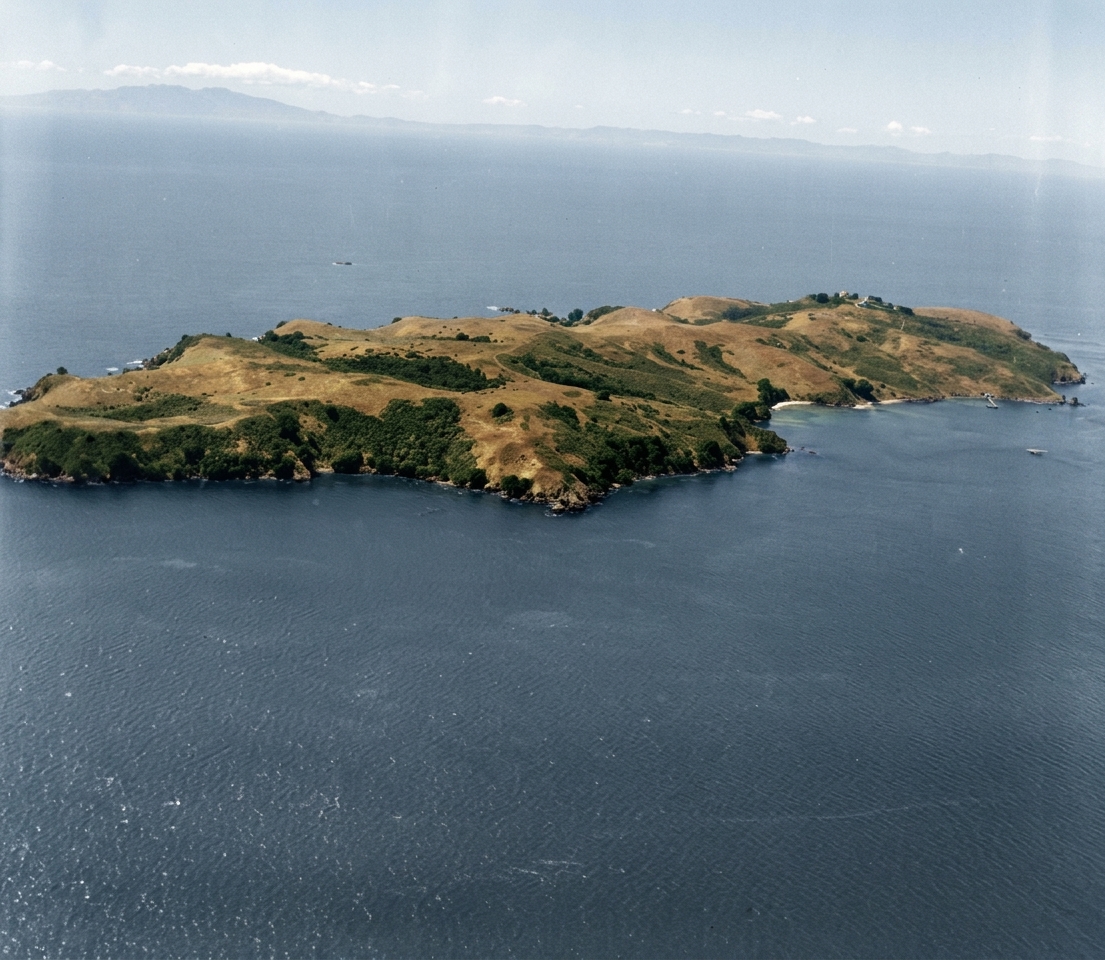 AI colourised photograph: Tiritiri Matangi Island, Hauraki Gulf
