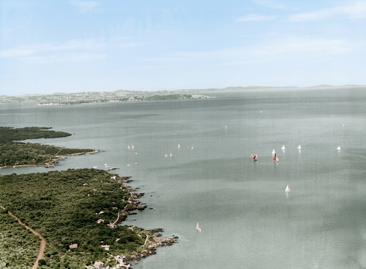 AI colourised photograph: Yachts reaching Rangitoto Island, Auckland