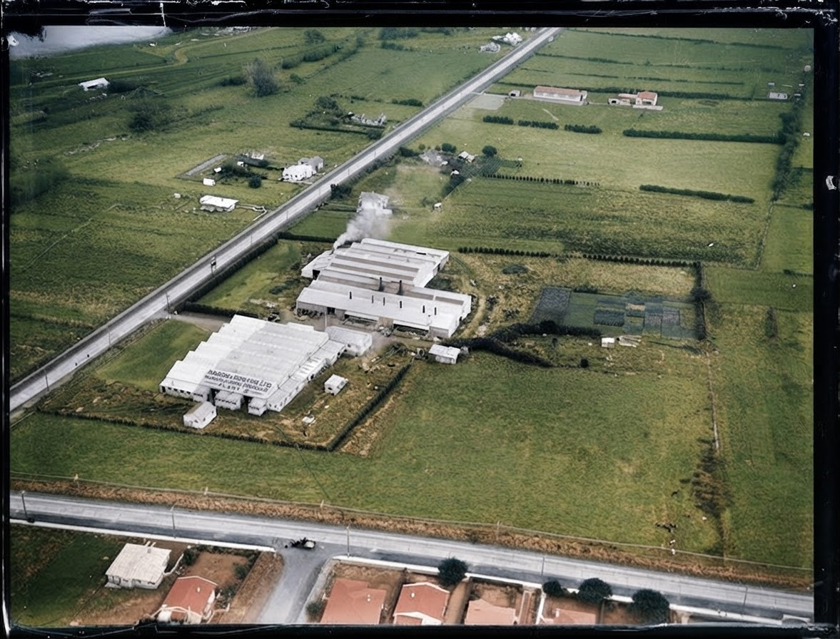 AI colourised photograph: Mason and Porter Limited Manufacturing Engineers No.2 factory, Panmure, Auckland