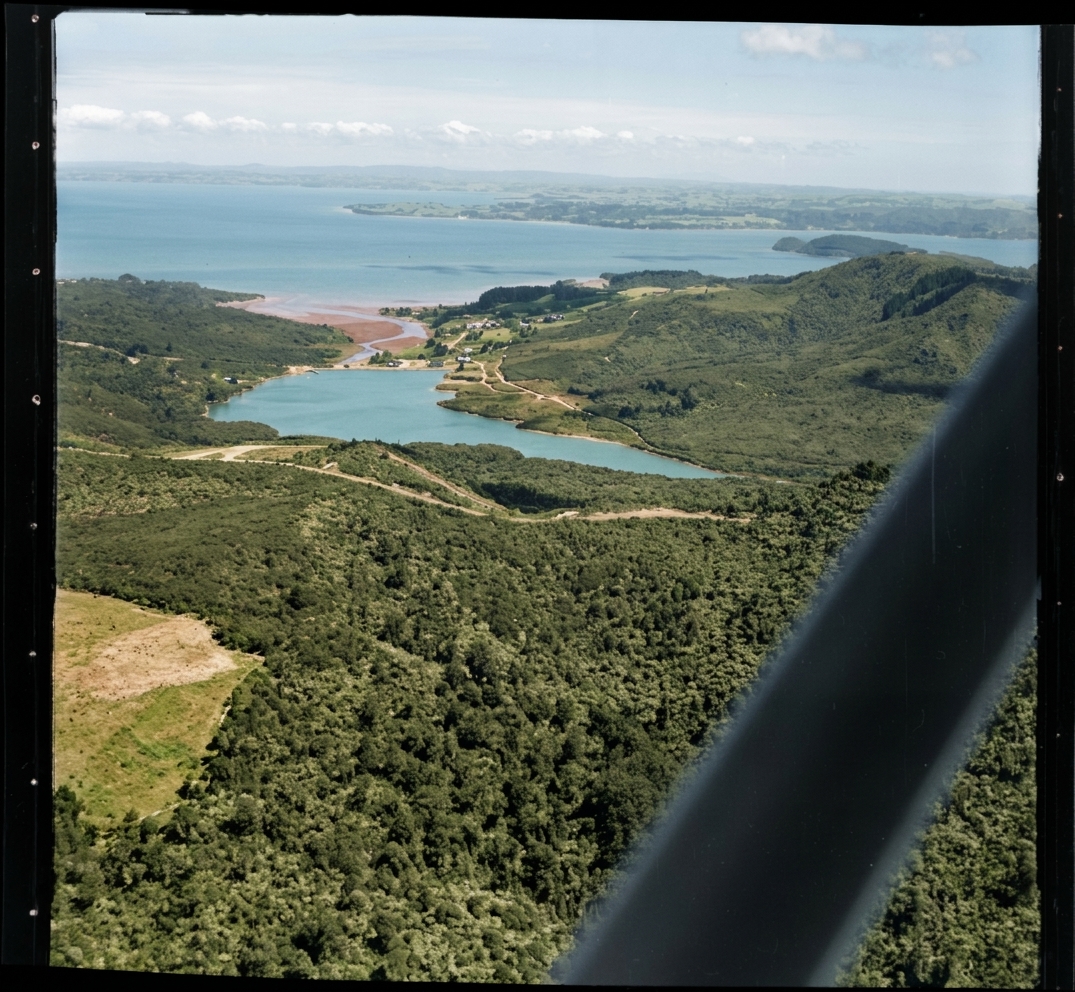 AI colourised photograph: Waitakere Scenic Drive, Pa Rou Dam
