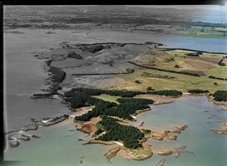 Puketutu Island, Manukau Harbour, Auckland Region